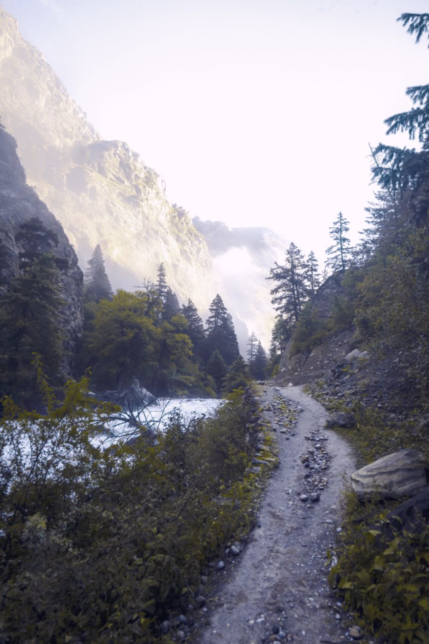 Gleznaina Latvijas upes ieleja un kalnu takas rīta dūmakā